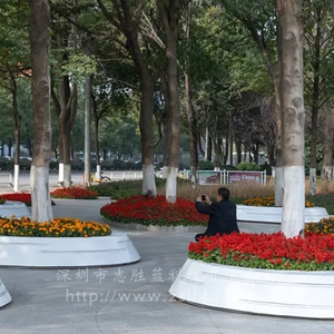 玻璃钢发光树池